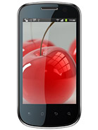 Best available price of Celkon A19 in Zambia