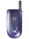Best available price of Motorola V66i in Zambia